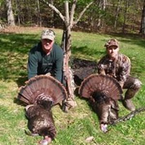Virginia double down