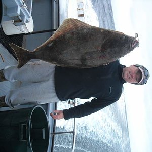 my first Halibut