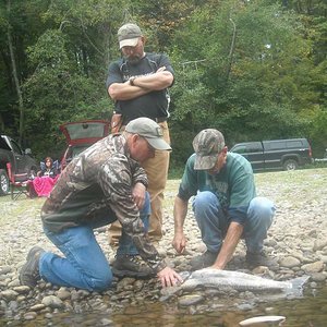 my brothers eager to clean my first King on the Nisqually river