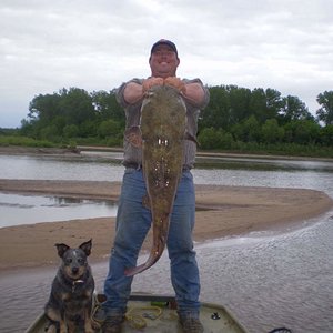 14 & 35lb flathead (1)