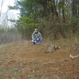 georgia coyote trapping