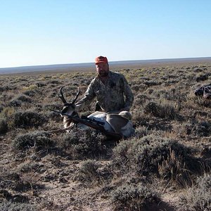 Wyoming Antelope