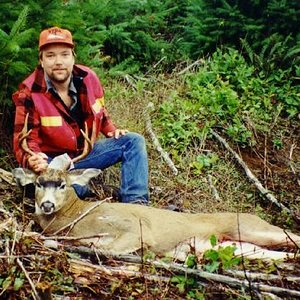 Washington Blacktail Deer