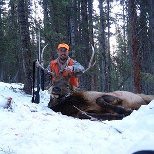 This Bull was a long drag, finished getting him out the next day