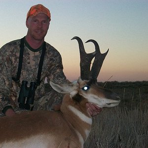 antelope22010 (2)