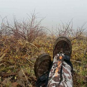 Sitting on a hill on day 2 of elk hunting. The fog kept rolling in and out all day.