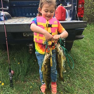 first walleye