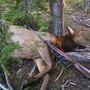 first elk