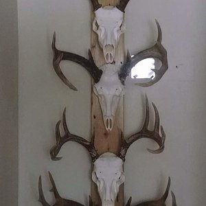 buck board