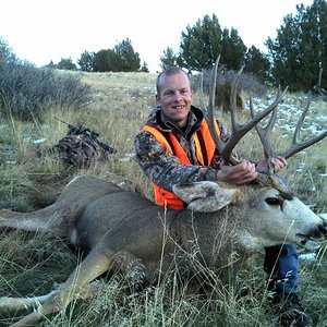 2013 Mule Deer Buck (5)