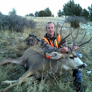 2013 Mule Deer Buck (4)