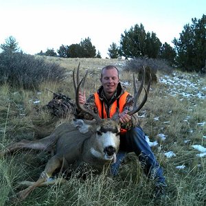 2013 Mule Deer Buck (2)