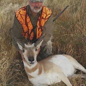 Area 73 pronghorn