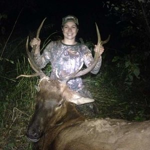 My first ever bull, taken with a bow on public land, quartering away at 42 yds. This was a very long day, as the bf got his at 830am, and I shot him a