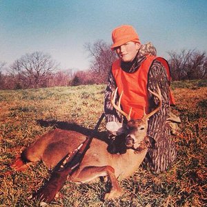 buck 1993