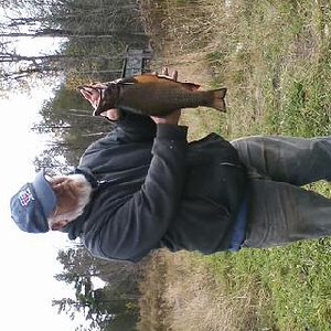 IMG 0078