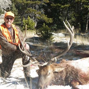 Bighorn Mtns. WY