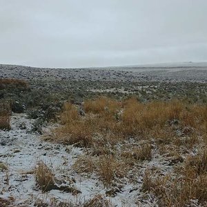 First morning of hunting. Snow! Sept 25th