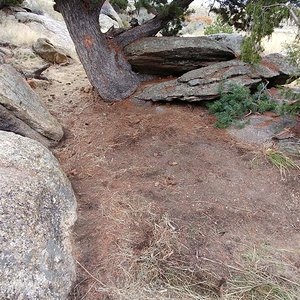 Our camping spot as we were leaving