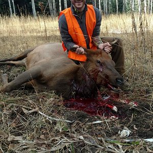 My brothers first Elk