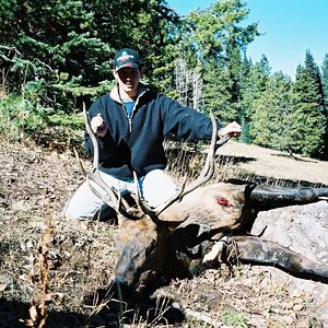 My first Bull Elk 2002