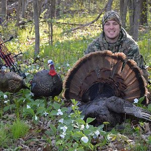 2017 MN Spring Turkey