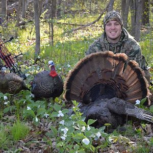 2017 MN Spring Turkey