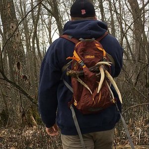 2017 MN Shed Hunting