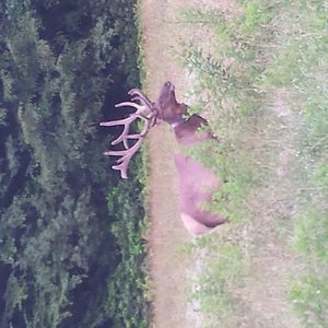 20150711 200959