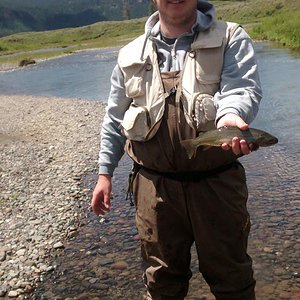 Cutthroat in Yellowstone