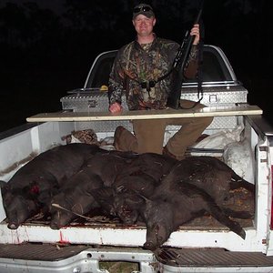 Pile of hogs