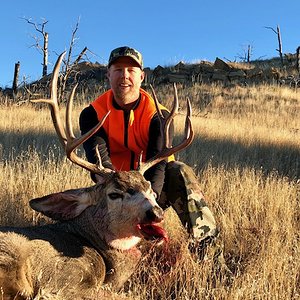 2018 Mule Deer