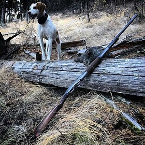 dog and blue grouse