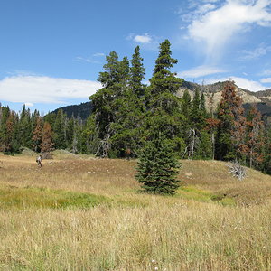 elk camp2008 156.jpg