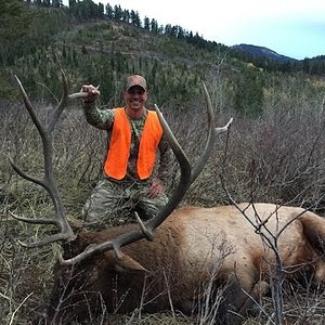 2015 ID Elk.jpg