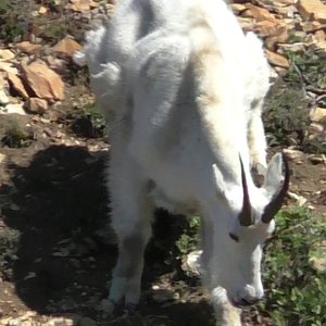 Billy walking toward us