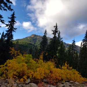 Backcountry Elk Hunt