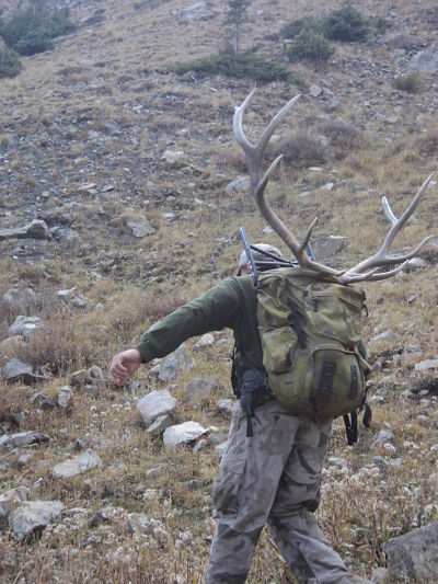 13,000 ft not a monster but a true trophy. Packing out a buddies elk.