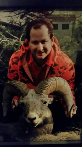 1992 Sheep