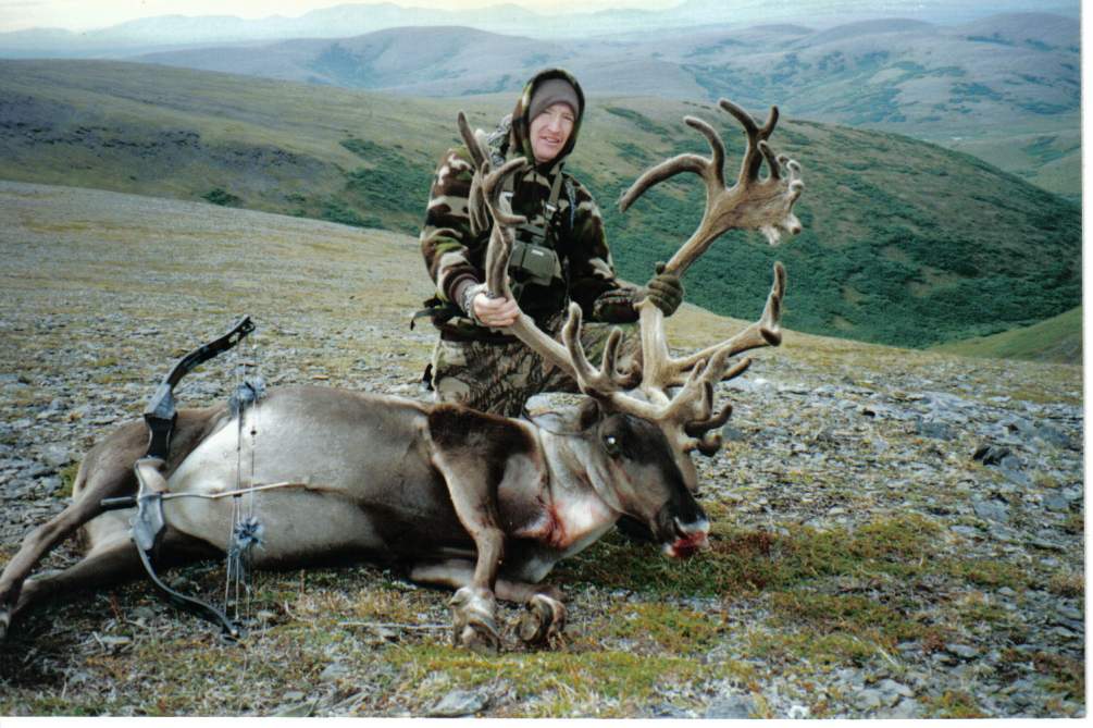 1996 caribou