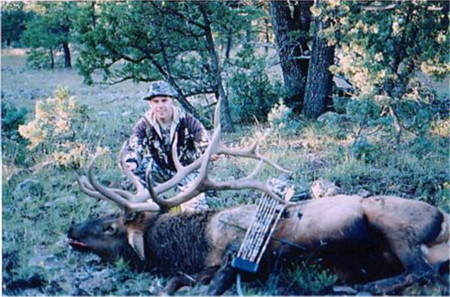 1997 Bull elk