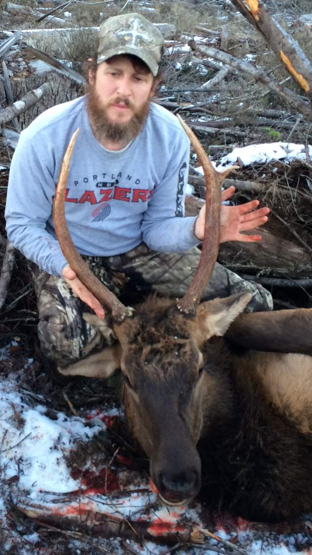 1st Elk,  Nov 2015 spike bull with trash ! LOL has a random 2 and a half inch tine growing sideways from right antler and curling forward