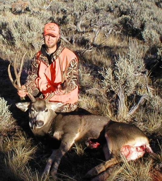 2006 Colorado Mule Deer