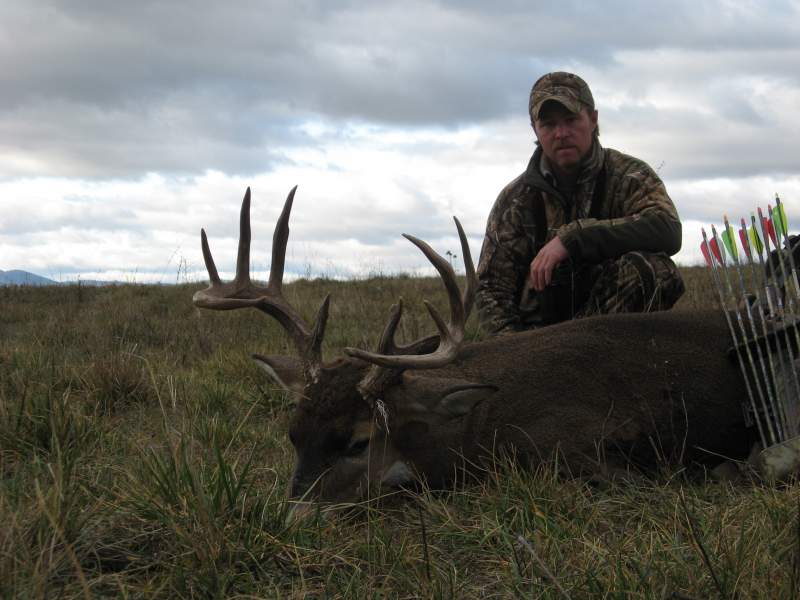 2008 Archery Whitetail