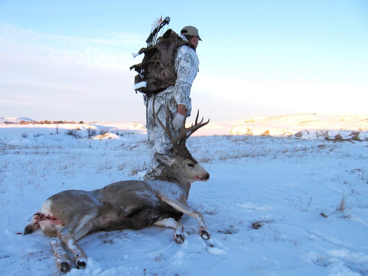 2008 ND Archery Mulie