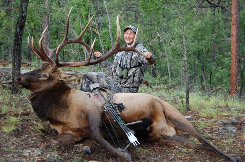2009 AZ Bull