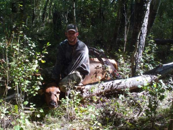 2009 Elk
