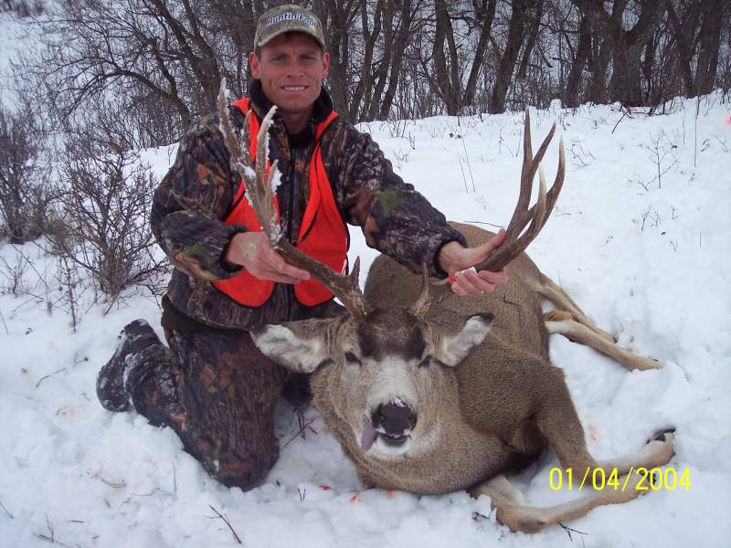 2009 ND Mule Deer