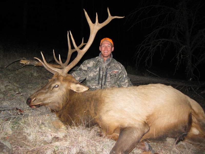 2009 NM Elk