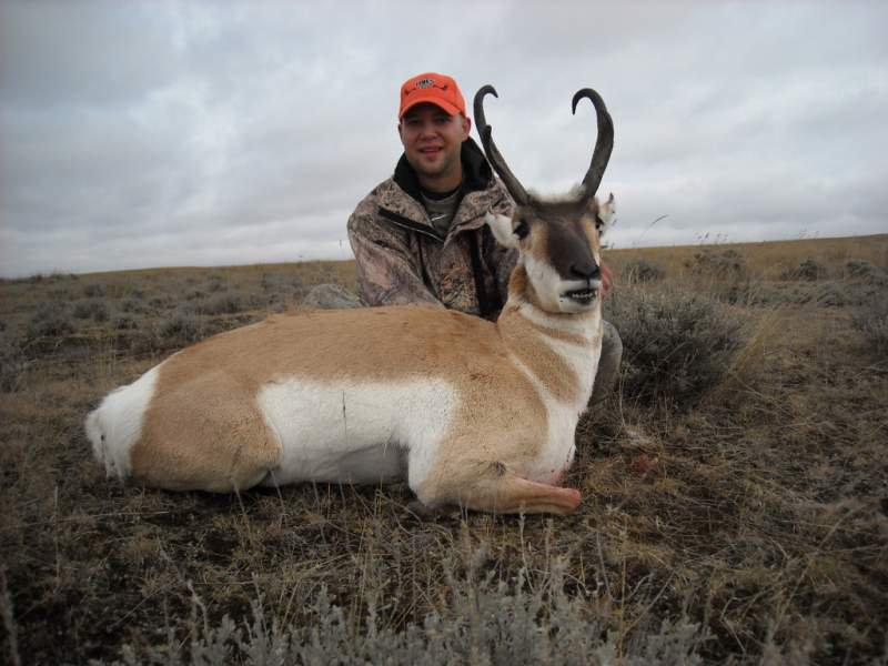 2009 SD Antelope